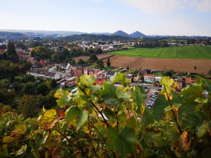 Charbonnay vin de terril